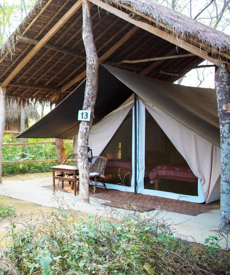 Tiger Tops Tharu Lodge Chitwan Buitenkant foto