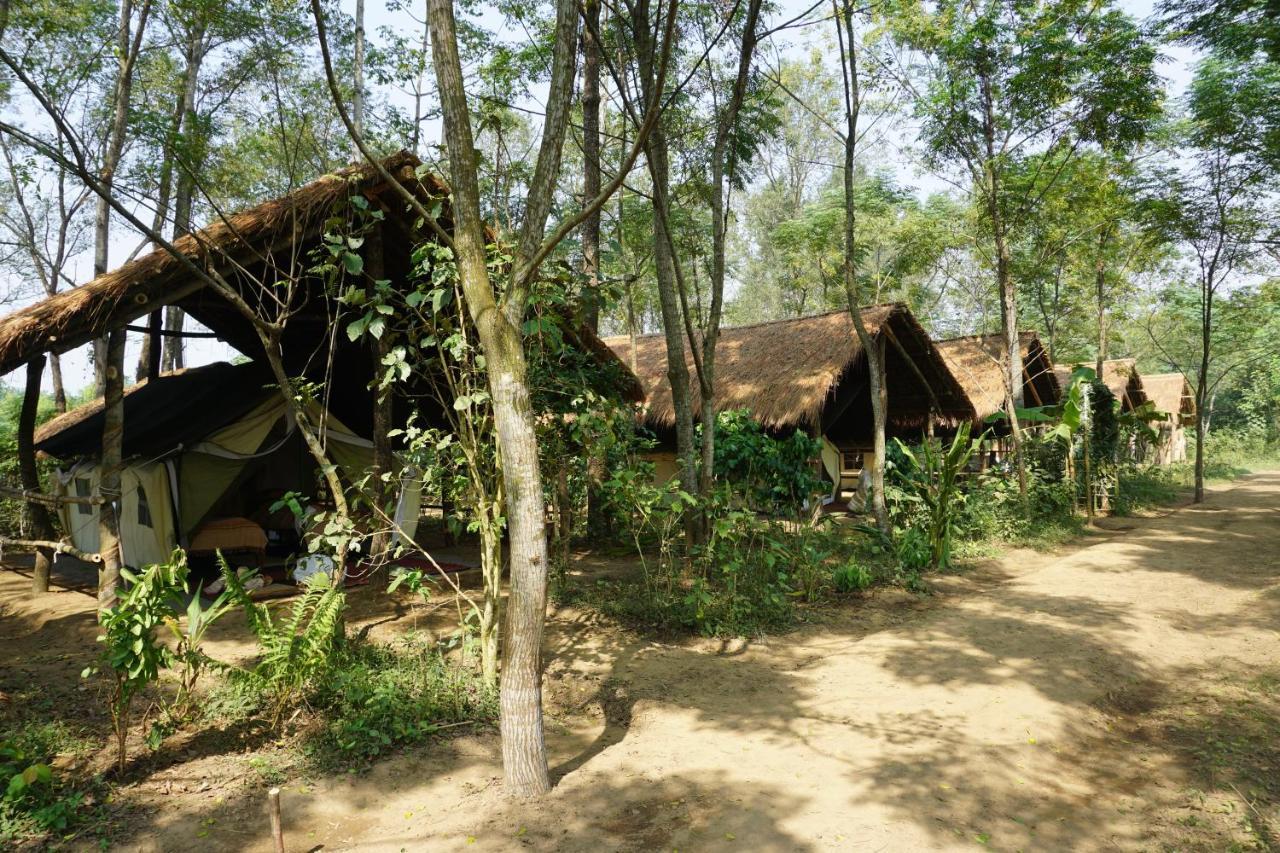 Tiger Tops Tharu Lodge Chitwan Buitenkant foto