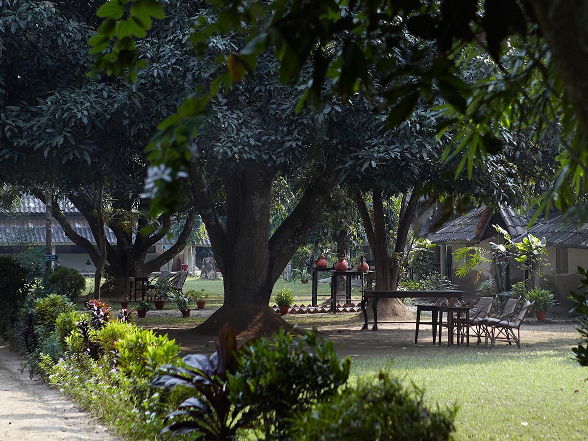 Tiger Tops Tharu Lodge Chitwan Buitenkant foto