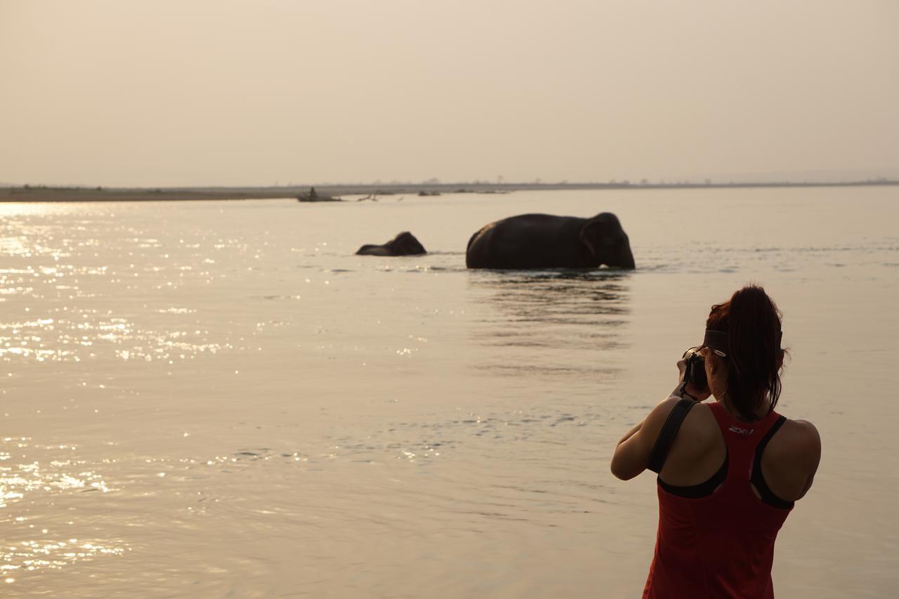 Tiger Tops Tharu Lodge Chitwan Buitenkant foto