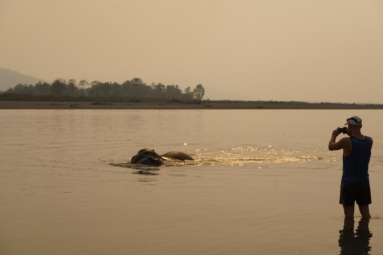 Tiger Tops Tharu Lodge Chitwan Buitenkant foto