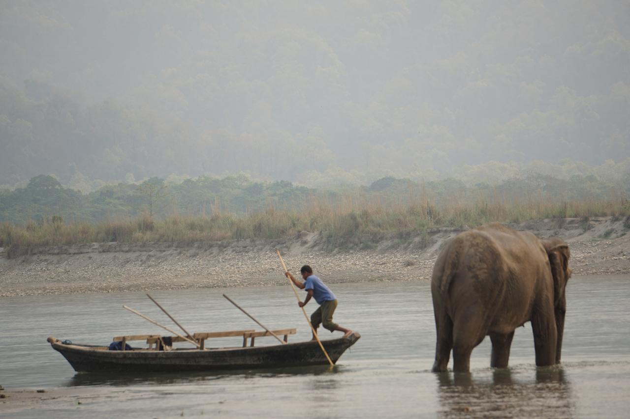 Tiger Tops Tharu Lodge Chitwan Buitenkant foto