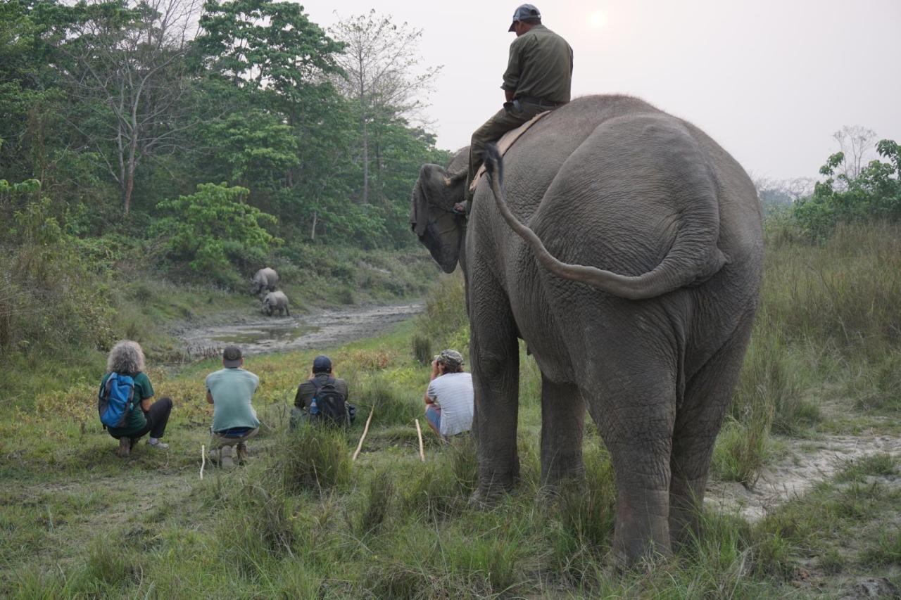 Tiger Tops Tharu Lodge Chitwan Buitenkant foto